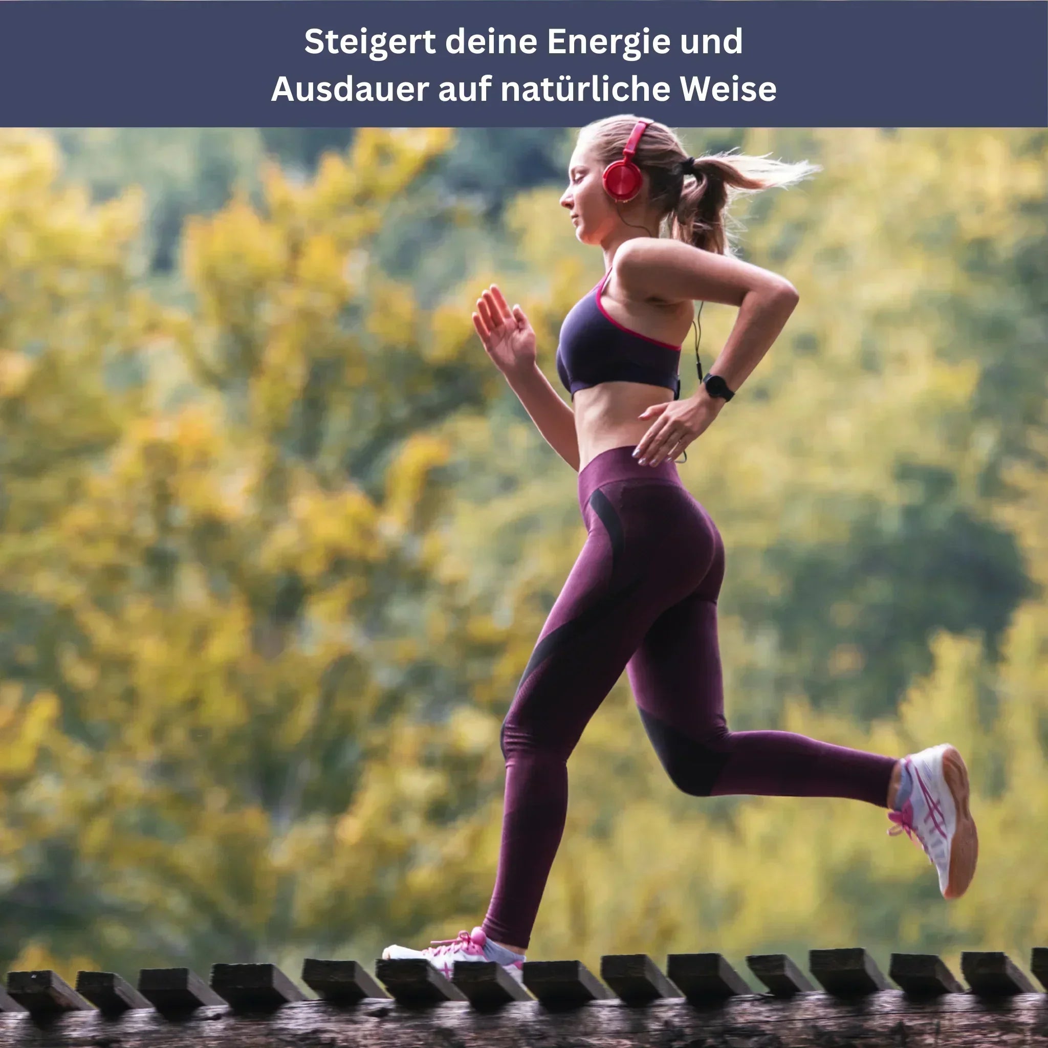 Shilajit – Het Origineel