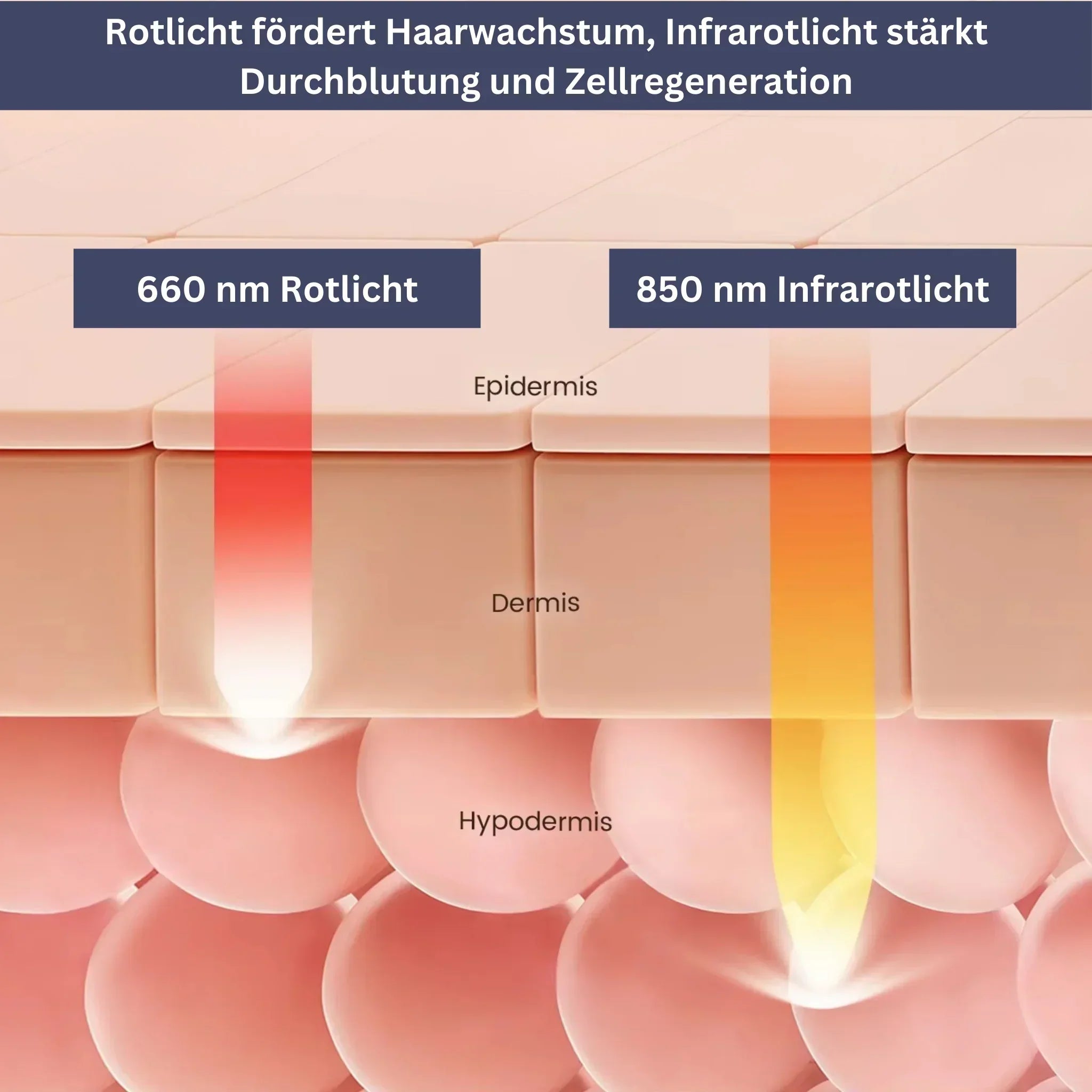 HairRevive Lichttherapie-Muts