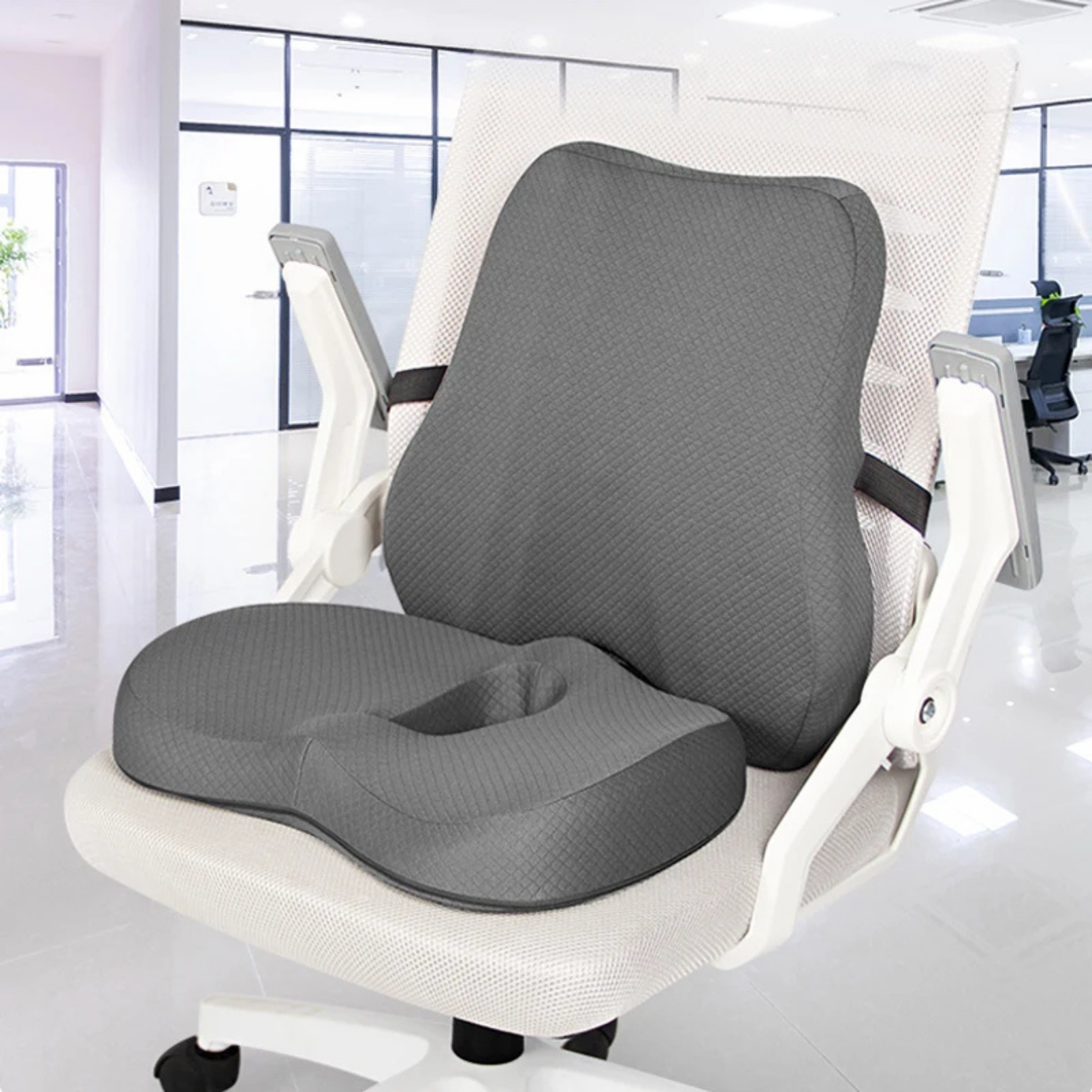 PosturePlus - Homeoffice Set
