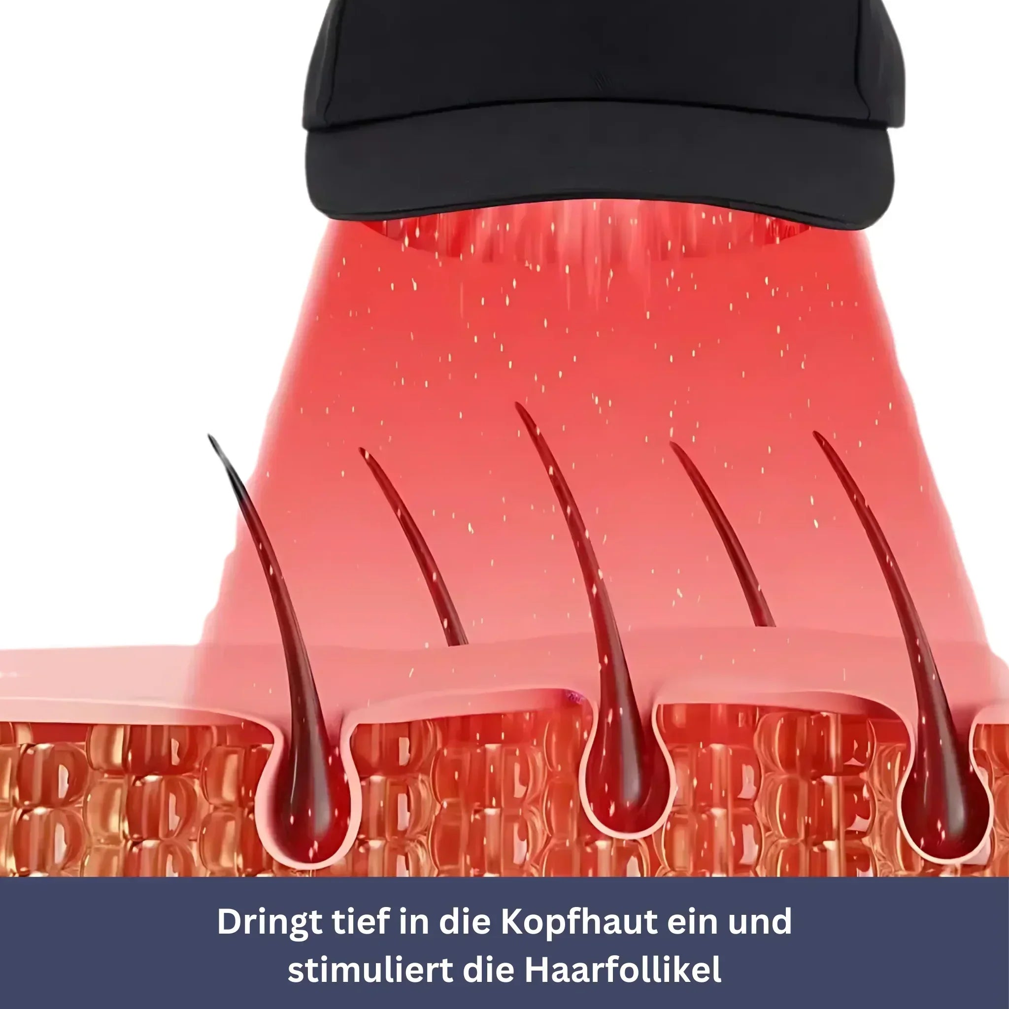 HaarVital Lichttherapie-Kap