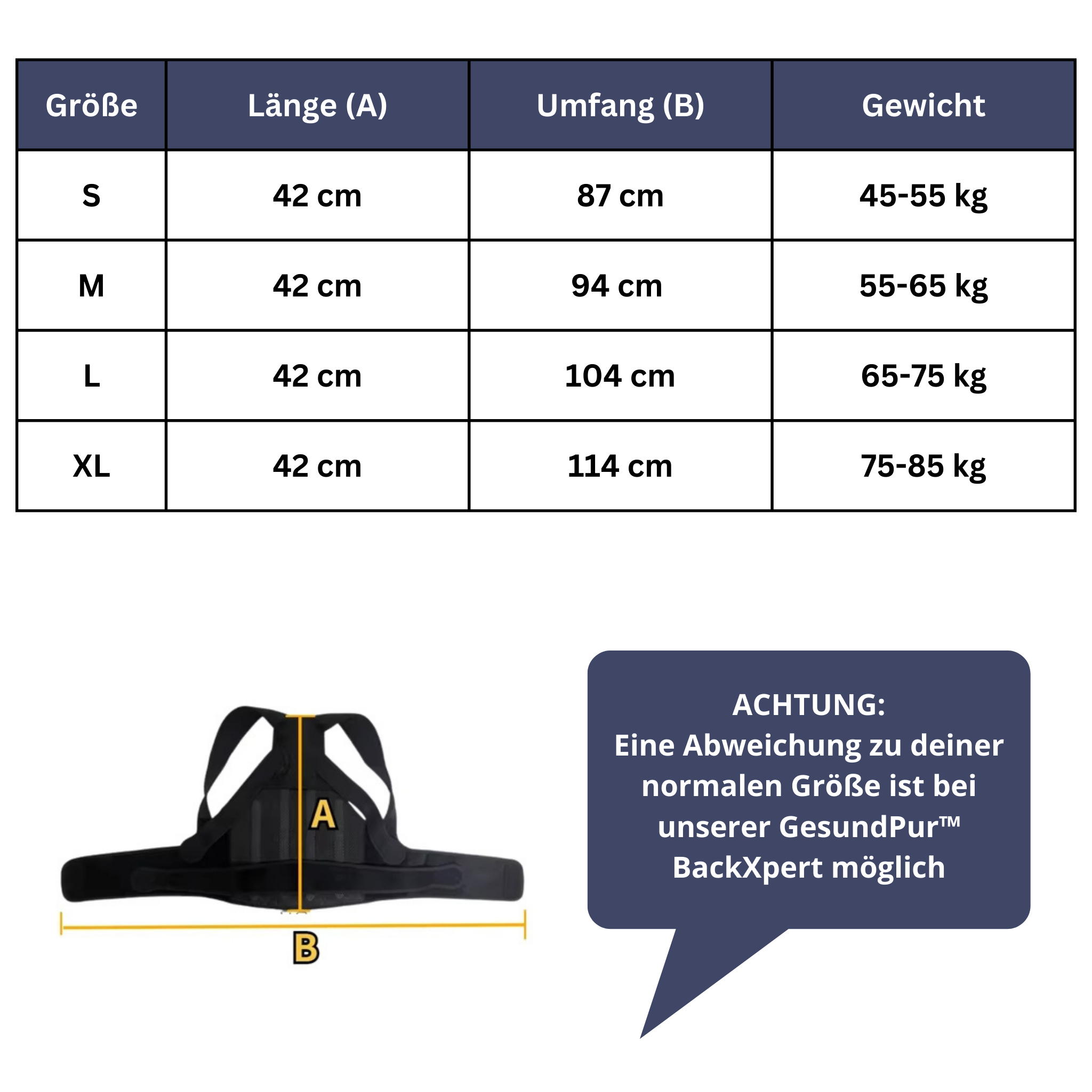 BackXpert Rugsteungordel