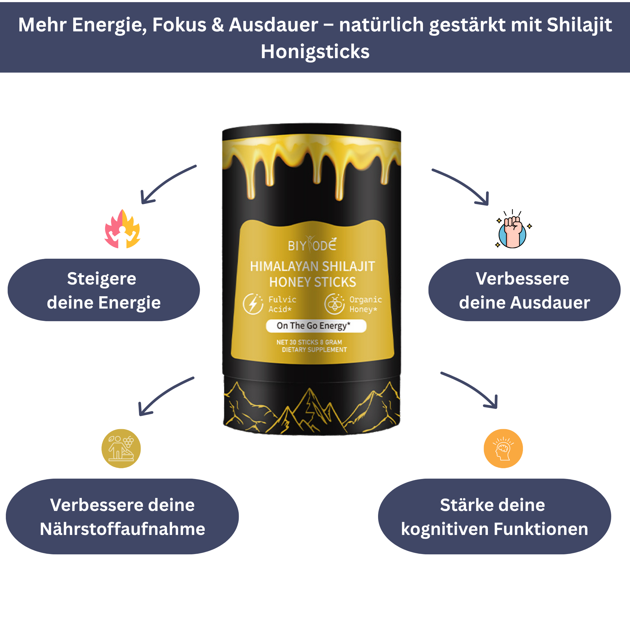 Shilajit Honig Sticks