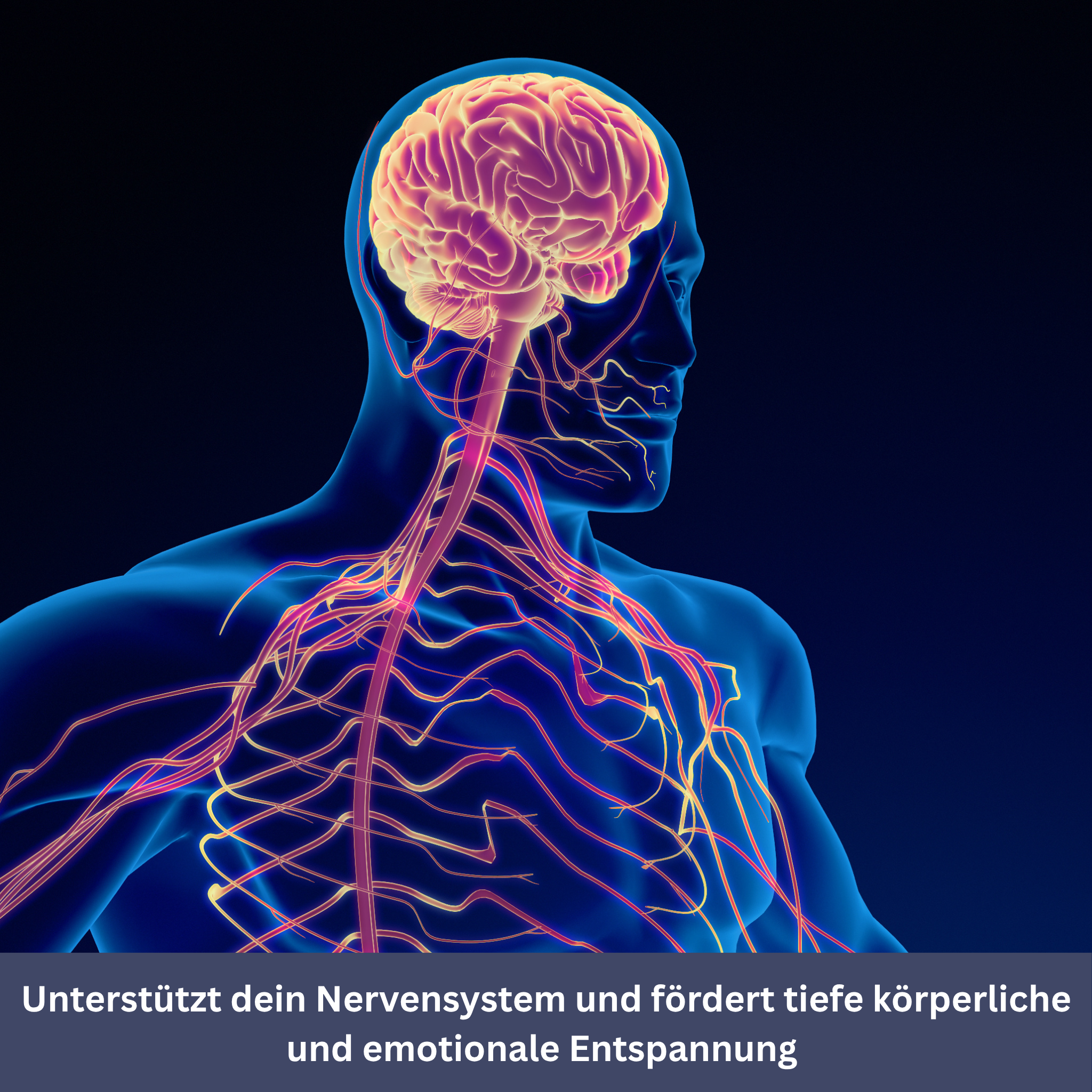 FrequenSana - Diepe ontspanning door 128 Hz-frequentietherapie